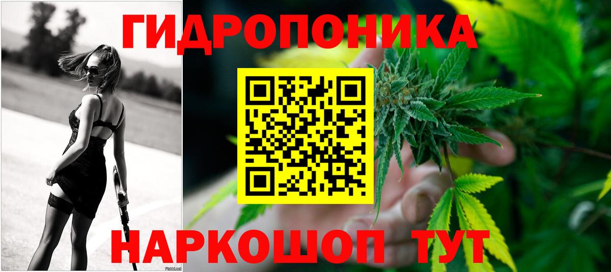 Марихуана конопля  Канабис OG Kush  Вход с VPN  Марихуана семена  Ульяновск 